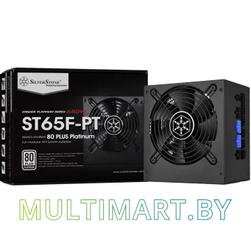 Блок питания SilverStone ST65F-PT v1.1 650W картинка 9